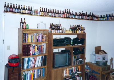 MY APARTMENT SHELVES