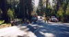 Accident scene