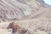 Desolation Canyon