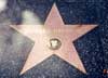Richard Dreyfuss' star