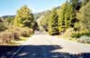 Skywalker Ranch