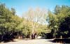 Skywalker Ranch
