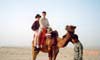 Tunisia: Me, Jared, Camel, and Berber kid